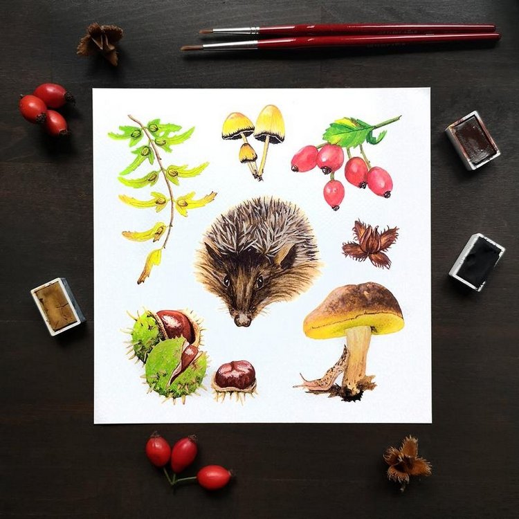 SnailMaidenStudio - Акварельные иллюстрации маленьких живых существ