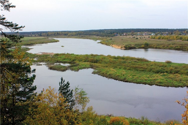 Путешествие Имани на Волгу, продолжение. Mini Imani от Kaye Wiggs