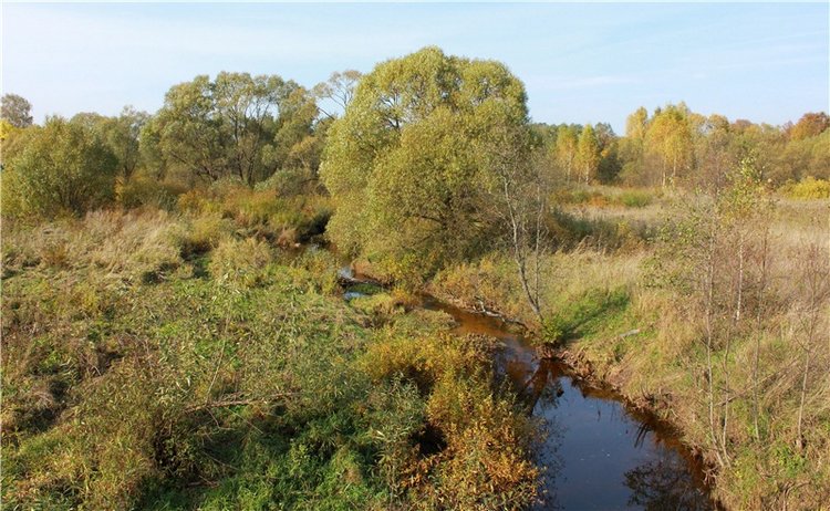 Путешествие Dal Hangry в Грузины, продолжение