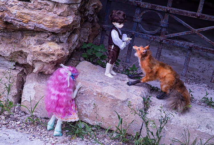 Сказки Волшебного Леса. Часть 1 (фото 3)