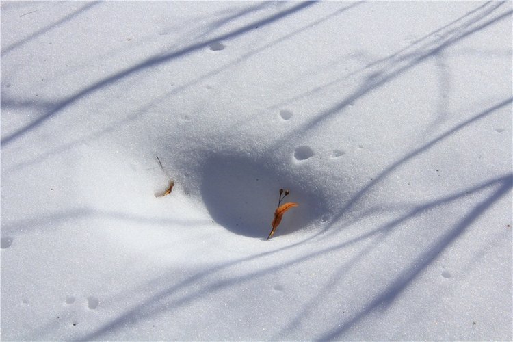 Снежный Март — Туризм и путешествия: фотоотчеты из поездок