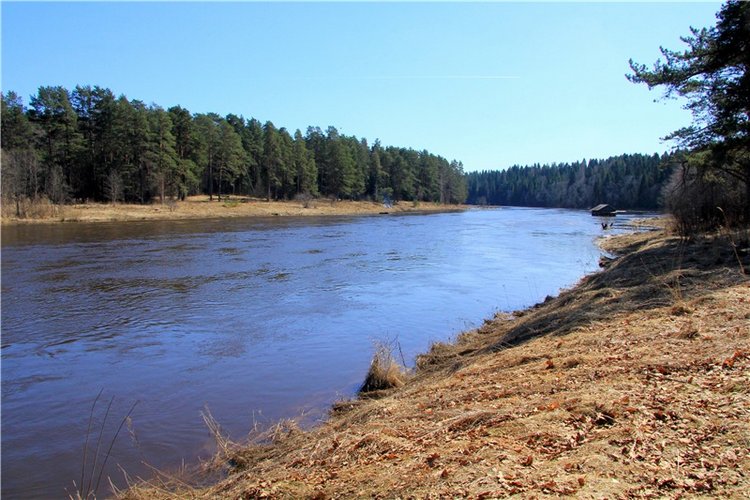 Апрельский день в Василёво, продолжение (фото 7)