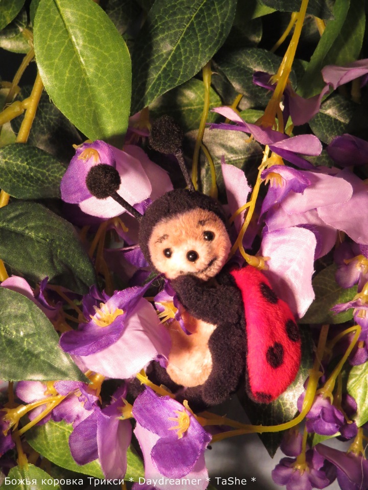Трикси. Милая непоседа — Авторские мишки Тедди и друзья: фото