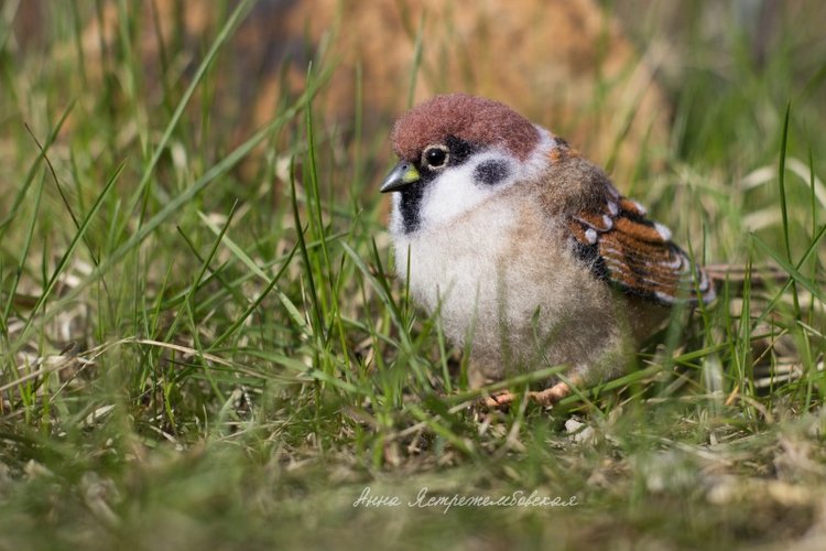 Воробушки — Валяные игрушки из шерсти: сухое валяние
