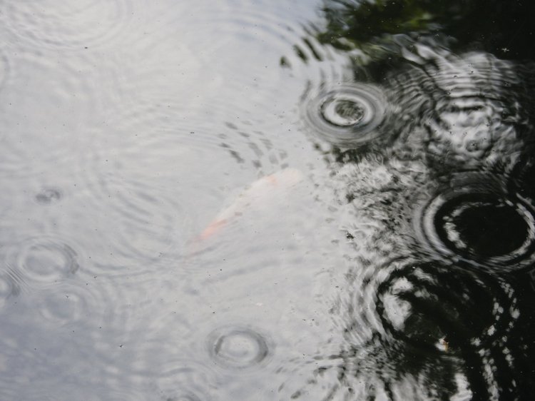 Краснодарский Край, Сочи-Адлер, Санаторий «Южное Взморье»