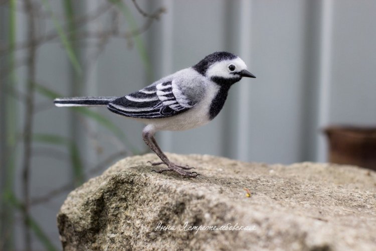 Белая трясогузка — Валяные игрушки из шерсти: сухое валяние (фото 10)