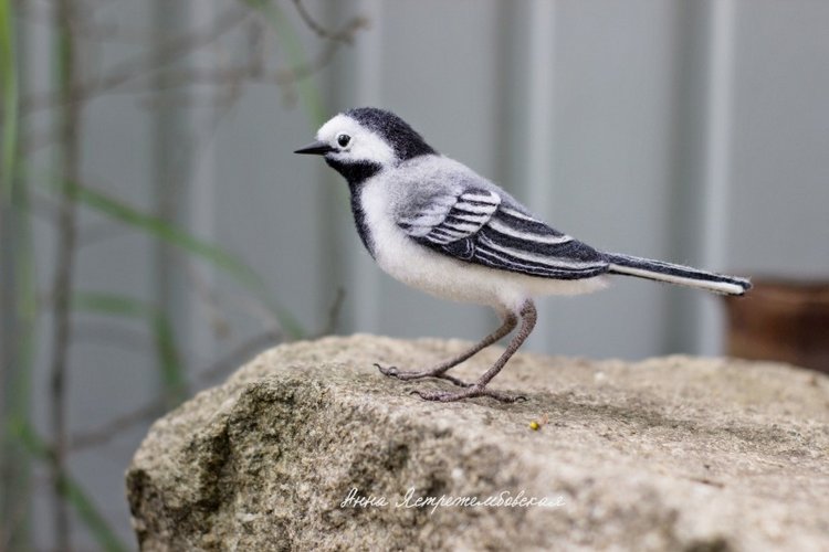 Белая трясогузка — Валяные игрушки из шерсти: сухое валяние (фото 7)