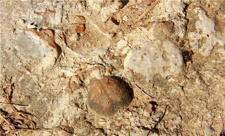Старицкая Швейцария. Старицкие пещеры, д. Толпино, заключительная часть
