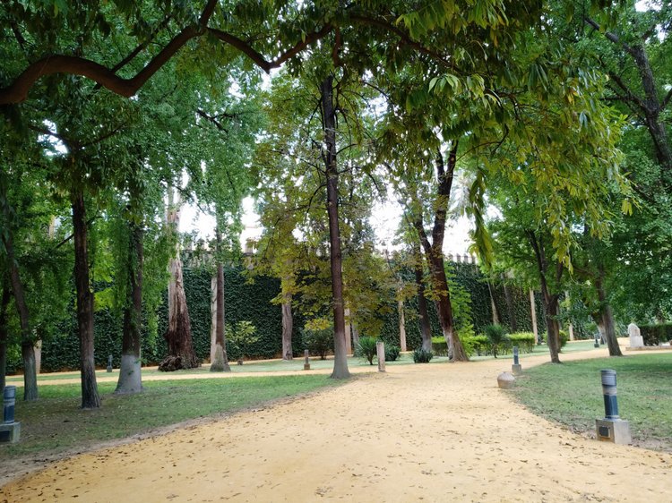 Тайна моего имени. Часть восьмая. Испания, Севилья. Колумб повсюду