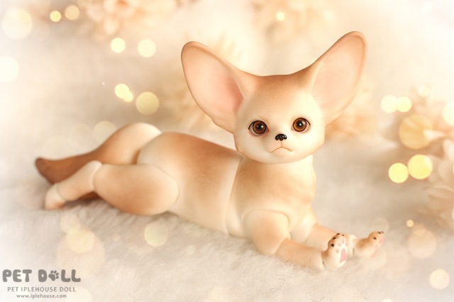 Новинки от Iplehouse - Маленький принц Fay (формат KID) и лис Fennec Fox (фото 9)