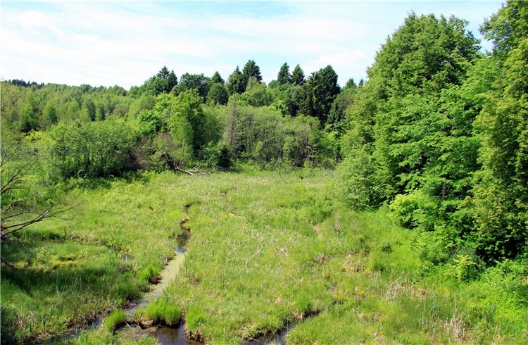 "Троицкие гуляния" в Василёво, 2018 год. Архитектурно-этнографический музей под открытым небом Василёво