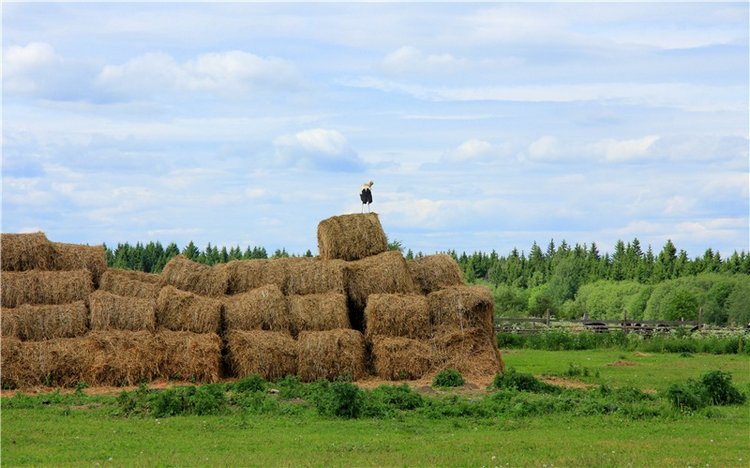 Путешествие с Бенни — Культура