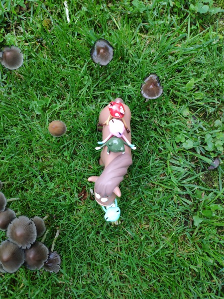 Лето с лягушками — Коллекционные куклы разных авторов (Разное): редкие бренды