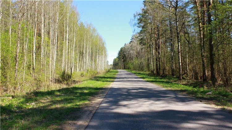 Весенняя Фея. Kyrra Fair Meadow doll | Бэйбики Весенняя Фея. Kyrra Fair Meadow doll