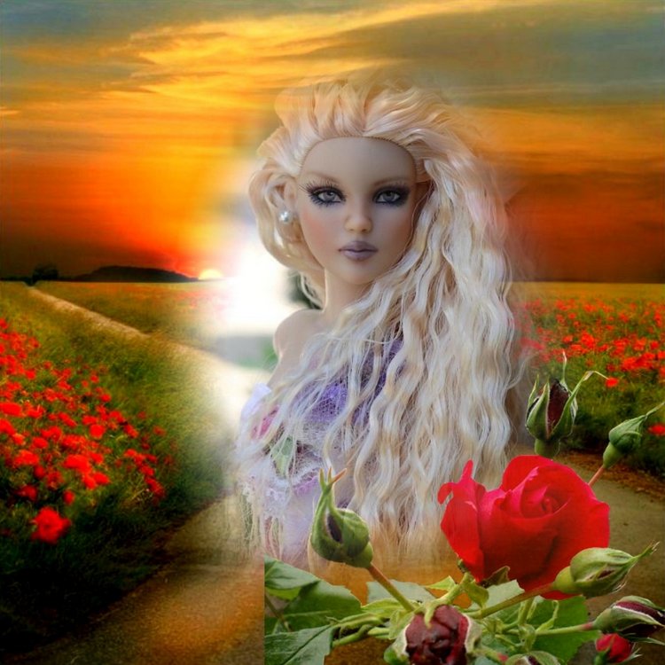 Мои Тоннерки. Фотозарисовки