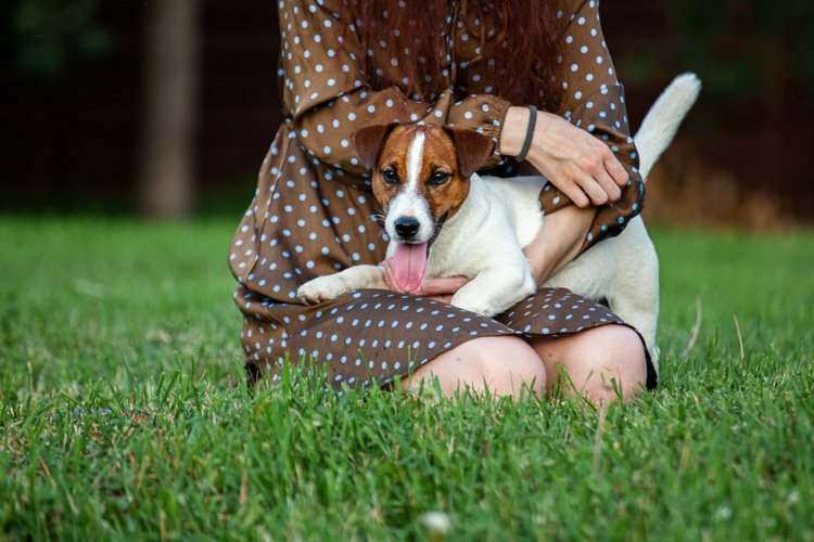 В гостях у STEPHA dolls! Biggers, Миниамигес, Вестида де Азул