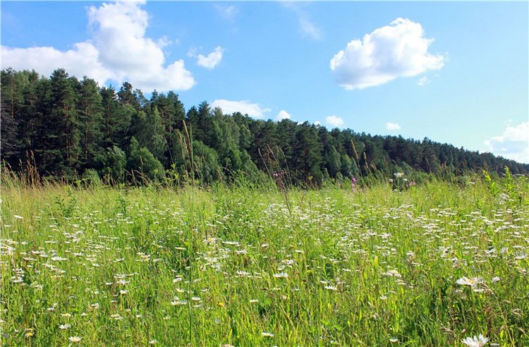 Путешествие Эли на красивый берег реки Волги