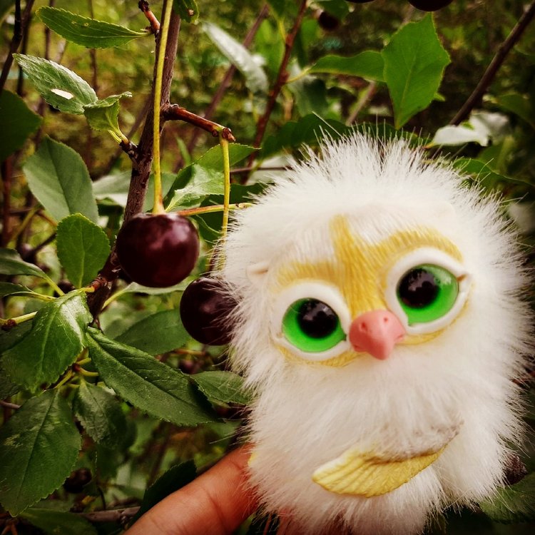 Последние денечки лета.... Совенок Желточек, дача и другие дачные жители (фото 9)