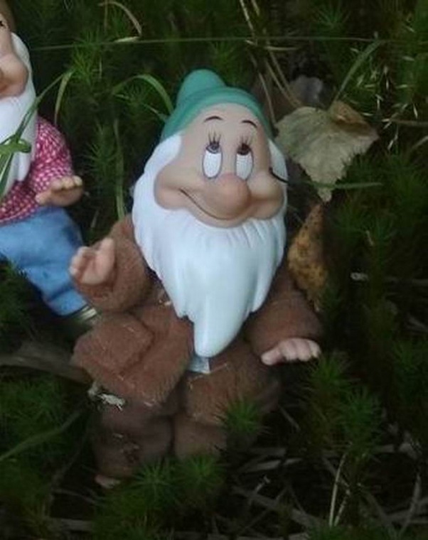 Осеннею порой под старою сосной... Принц, Белоснежка и гномы... встречаются