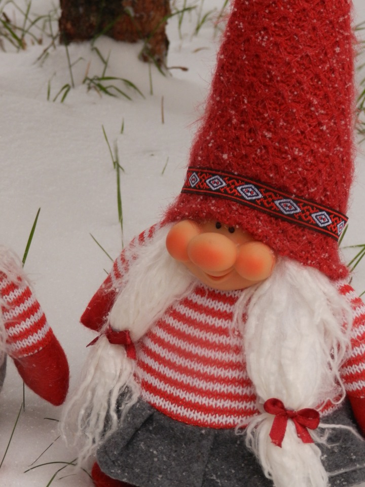 Наши зимние прогулки. Сабрина от Zawieruszynski