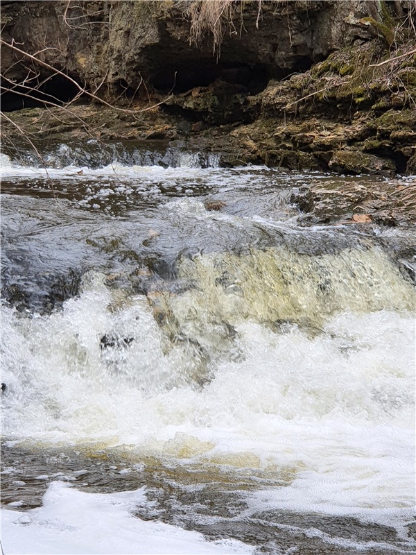 Путешествие Имани в ПанИку