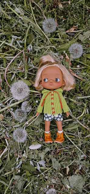 Holala Pipita Peter — Куклы Holala (Холала) от Jenny Fairytown: Pipita (фото 7)