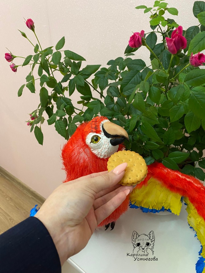 Попугай Ара — Игрушки в смешанной технике (мех и глина): Арт