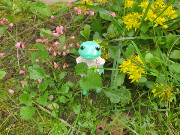 Лягушка Ванда и все-все-все