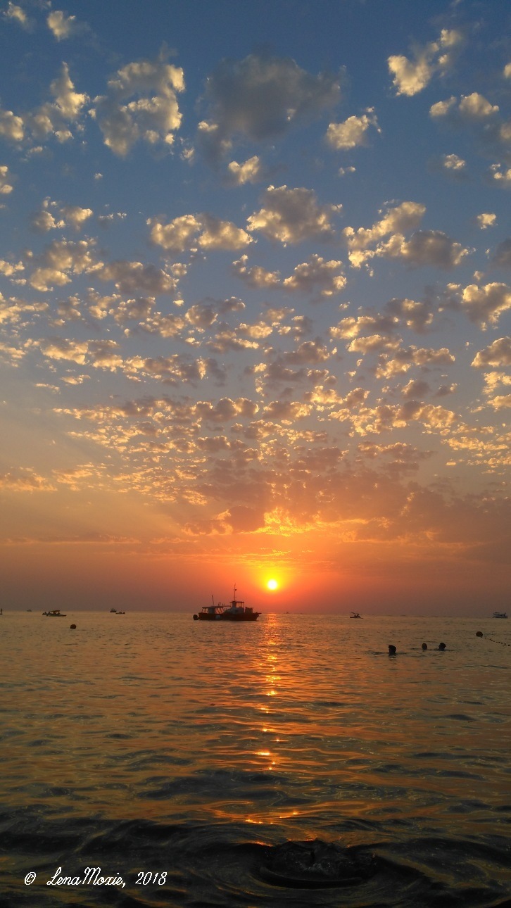 Kidz' тур. Юлино лето — Куклы Kidz'n'Cats (Соня Хартман): шарнирные 46 см