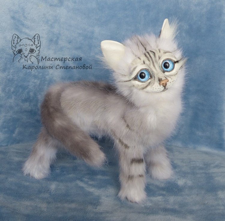 Невские Маскарадные коты серебристого окраса и Совята