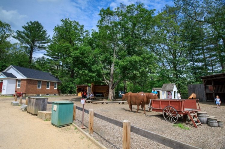 Прокатимся на машине времени? Поселение Старбридж. Новая Англия. 1830 год (фото 10)