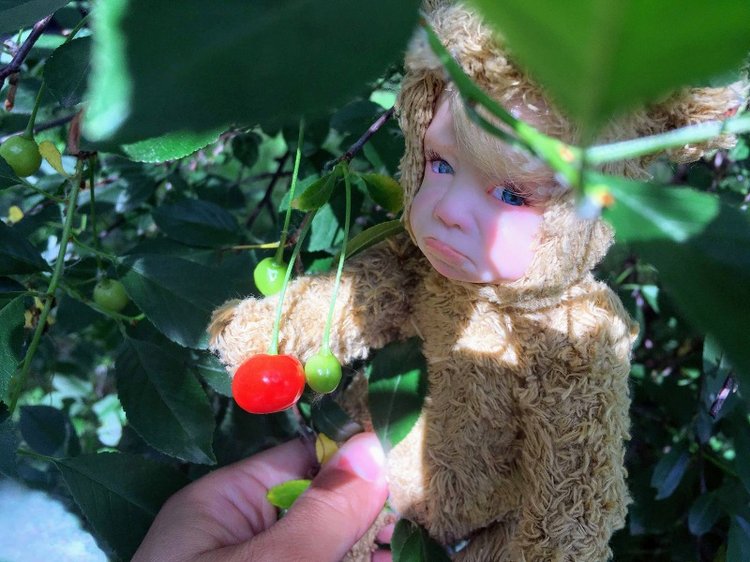 Teddy doll — Авторские куклы Тедди (фото 3)