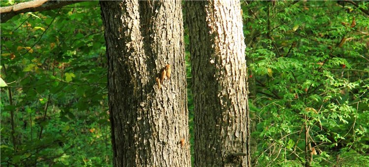 Старицкая Швейцария. Старицкие пещеры, д. Толпино, заключительная часть