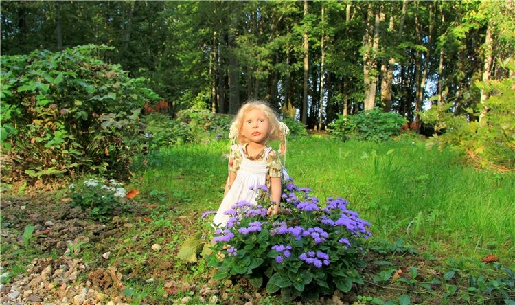 Августовская прогулка в Берново. Zwergnase Mischa