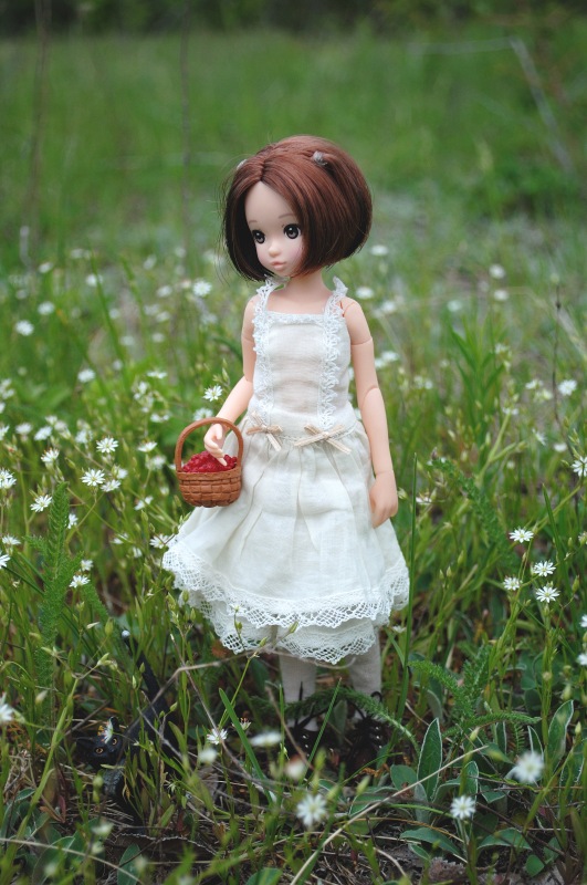 Девочки и их приключения или Ruruko от Petworks | Бэйбики Девочки и их приключения или Ruruko от Petworks (фото 9)