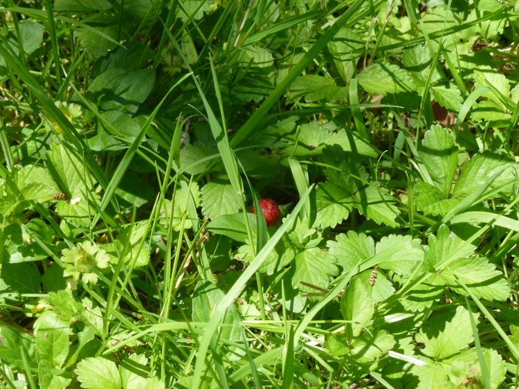 Сочи-Адлер: Южное Взморье - виртуальное путешествие по территории санатория