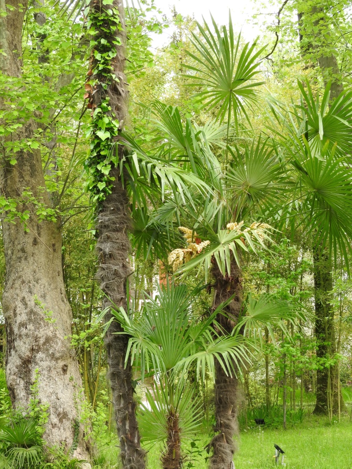 Сочи-Адлер: Южное Взморье - виртуальное путешествие по территории санатория