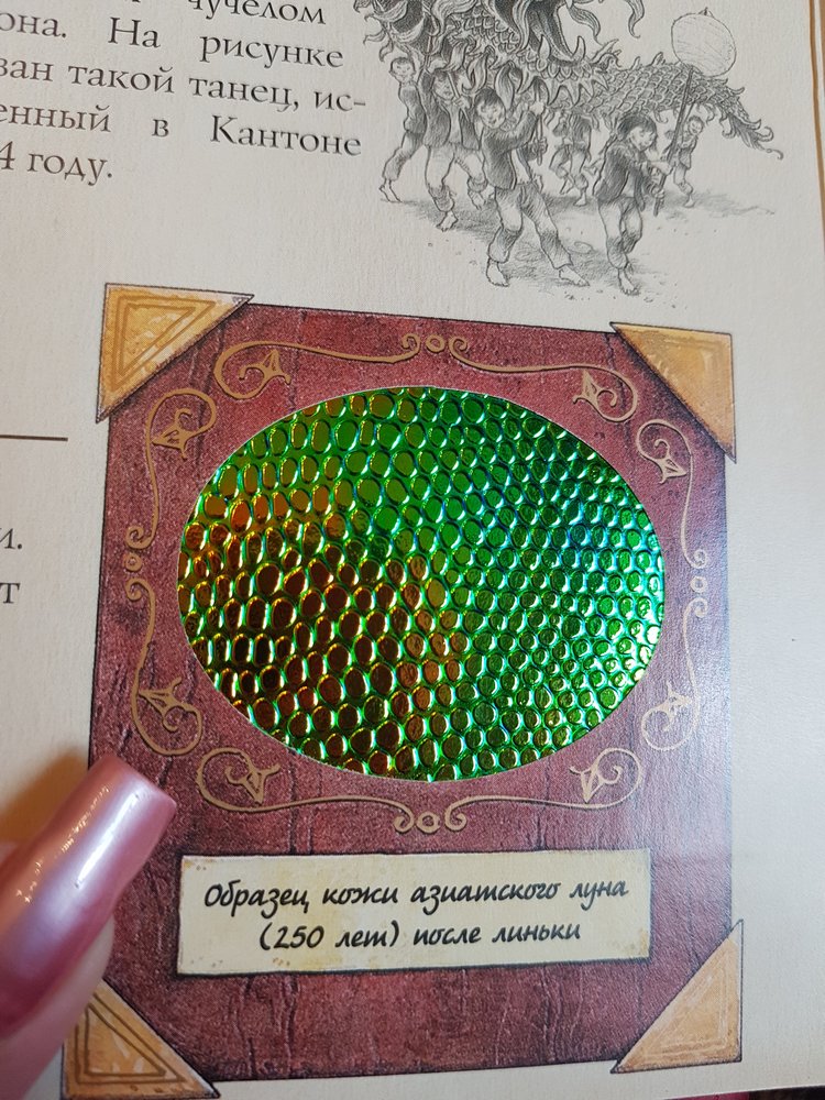 Шкаф в мою личную Нарнию | Бэйбики Шкаф в мою личную Нарнию — Болталка и разговоры обо всем: жизнь