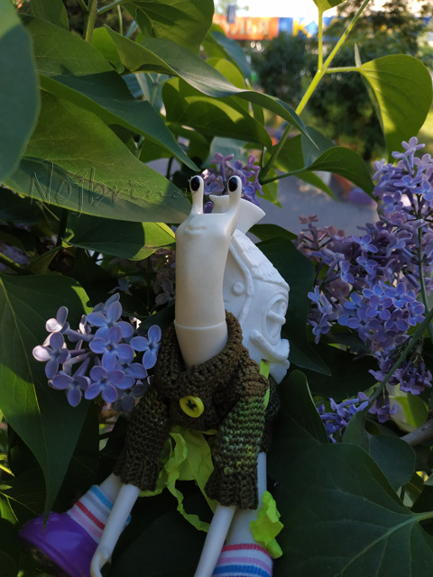 Wonderfrog. Красота в простоте