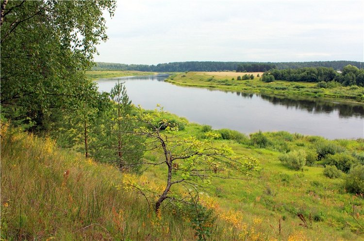 Летняя Фантазия — Куклы Kaye Wiggs (Кайе Виггс): авторские BJD (БЖД)