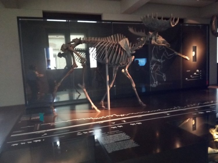 Тур по Европе или долгожданный подарок самой себе. Часть 4