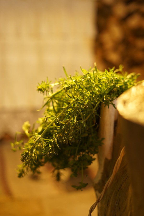 Wabi-Sabi. Японский стиль в российской деревне