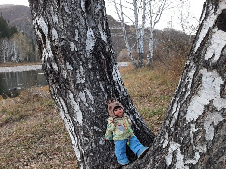 Осень моих вихтелят 2 — Куклы Rosemarie Anna Muller (Мюллер): Вихтели (Wichtel)