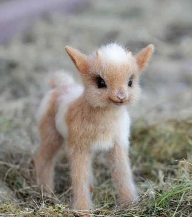 Ожившие зверушки, реализм и эстетика (фото 9)