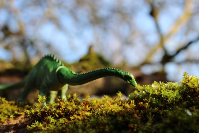 Вы коллекционируете динозавров (фото 8)