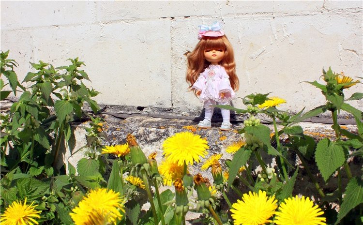 Путешествие Софи в Старицу, заключительная часть. Lati HoneyBee New Mystic Sophie