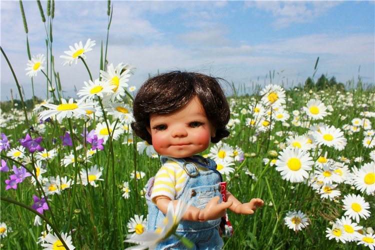 Ромашковый Июнь — Куклы Meadow dolls (Медовушки): BJD (БЖД)