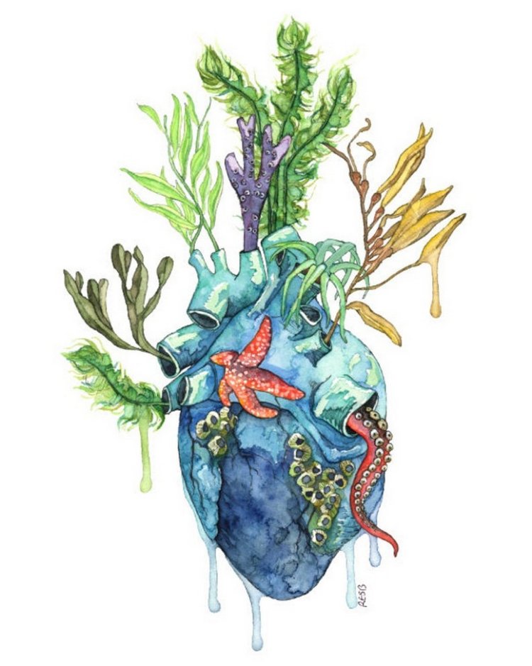 TheColorfulCatStudio - Иллюстрации подводного мира by Rachel Byler (фото 3)