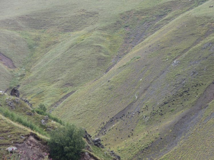 Джилы-Су в тумане — Туризм и путешествия: фотоотчеты из поездок
