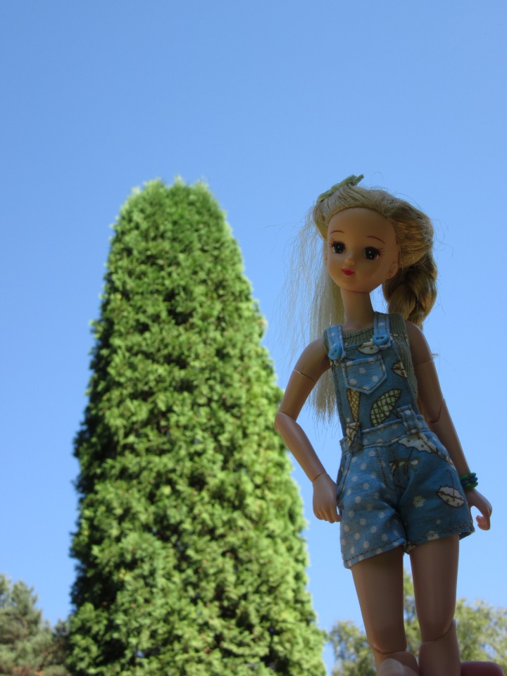 Горячее солнышко Кисловодска